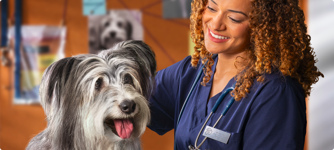 Young boy with his brown and white cat at a pet obstacle course