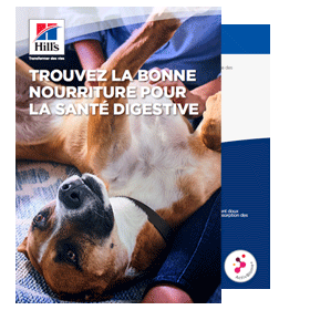 vna course thumbnail