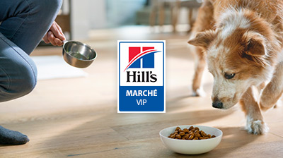 chien d'alimentation parent de compagnie