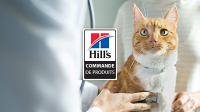 vétérinaire examinant un chat